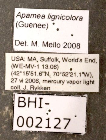 Media type: image;   Entomology 622423 Aspect: labels